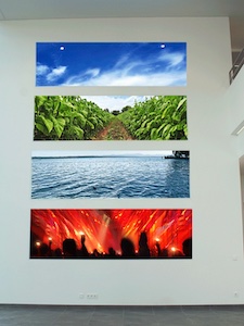 Feuer/Wasser/Erde/Luft Vorschau