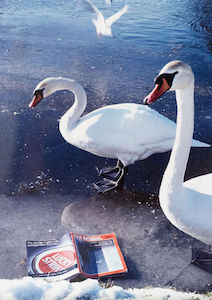 TOD's and Lucky Vorschau